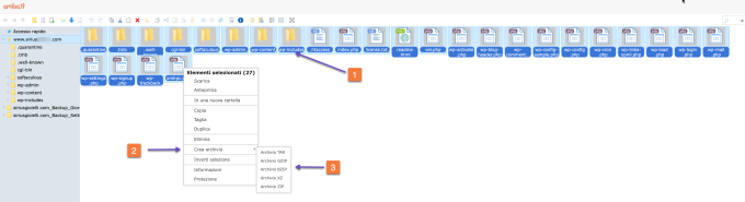 Aruba File Manager Select All Files Crea Archivio