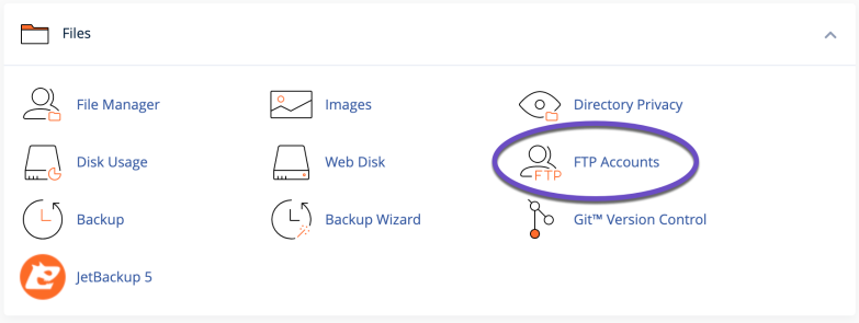 FTP Accounts