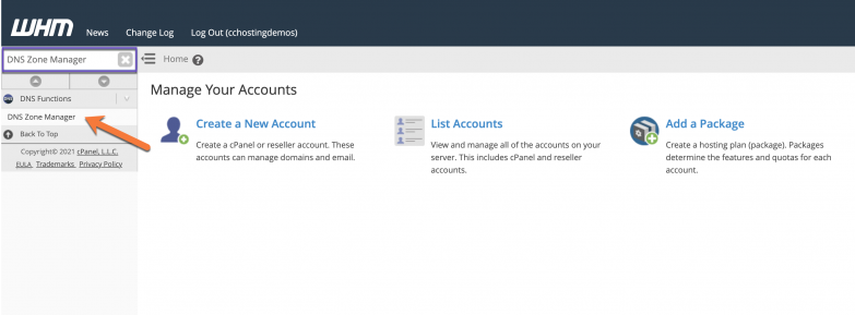 DNS Zone Manager