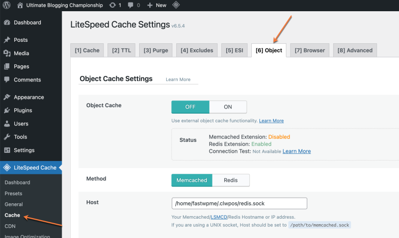 LiteSpeed Cache Cache Object